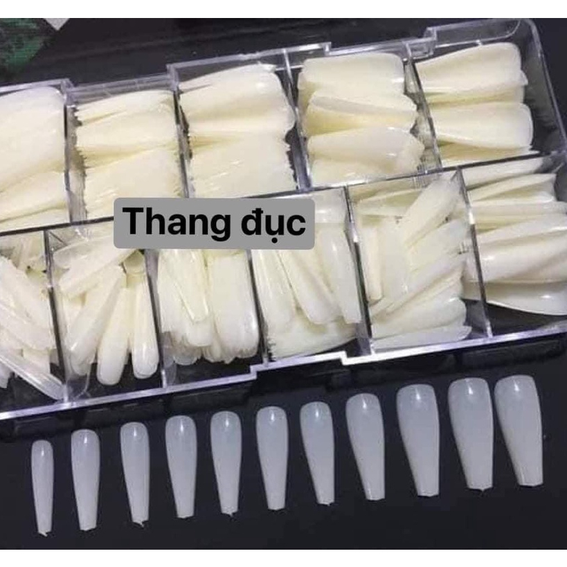 Móng Úp Hsm Fom Thang Màu Đục, Trong - Móng Hsm Loại 1 Hộp 500 Móng