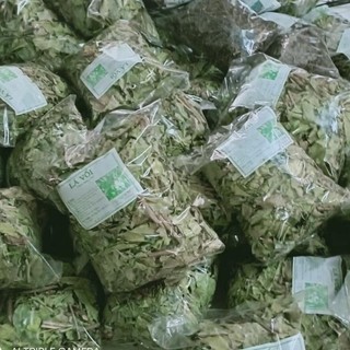 Lá vối khô 1kg
