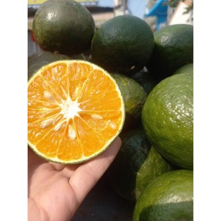 Cam sành nhà trồng 20k/1kg 3_5 trái