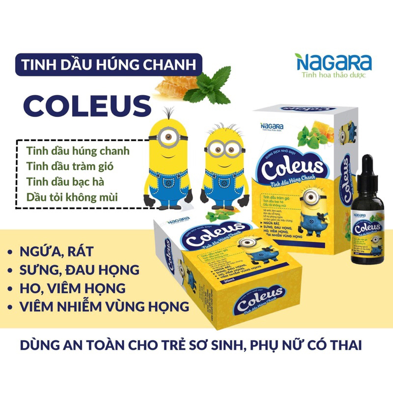 Tinh dầu húng chanh coleus 30ml