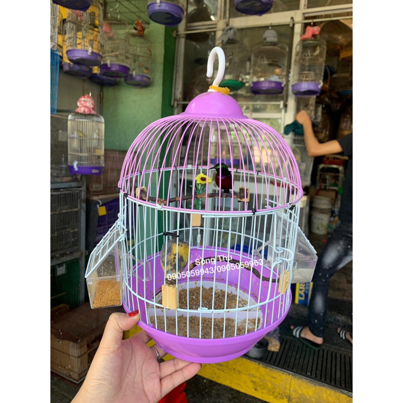 Lồng nuôi hút mật, khuyên