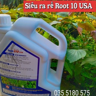 Siêu ra rễ Root 10 USA - Can 5 lít
