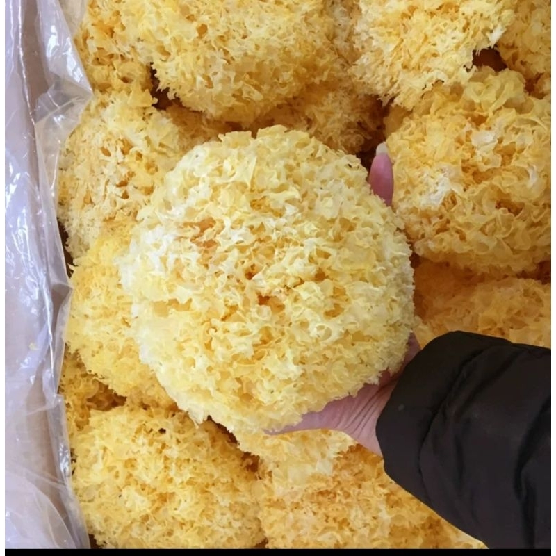 Nấm tuyết khô  nguyên bông to loại đẹp