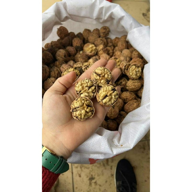 Quả Óc Chó Hà Giang