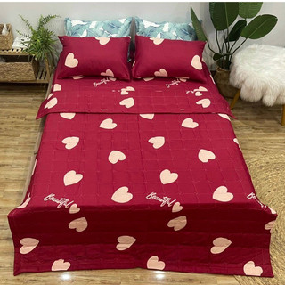 Chăn hè thu cotton poly HASUKO nhiều mẫu mới được lựa chọn mẫu