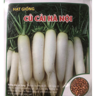 ☘ Hạt giống Cải củ Hà Nội ✅
