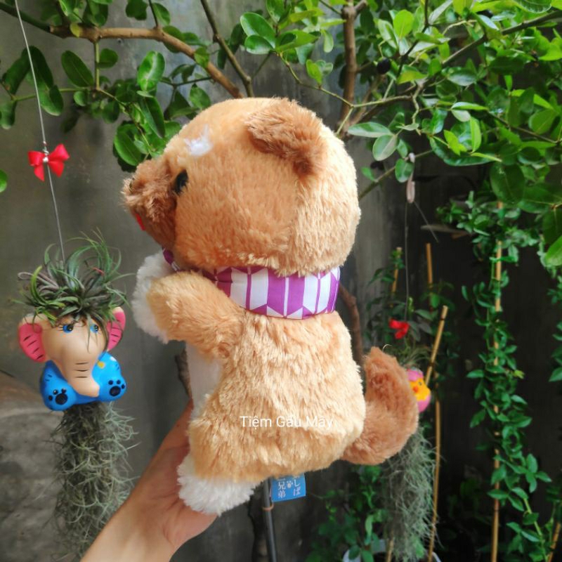 Chó bông amuse đeo khăn choàng lông xù mềm mịn đáng yêu