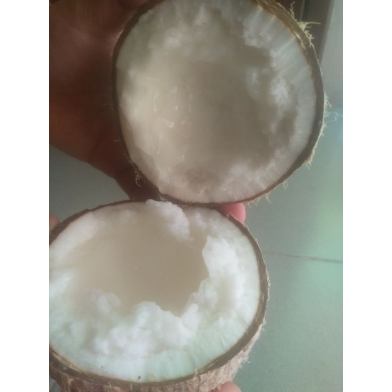 Dừa Sáp 1,3*1,5kg