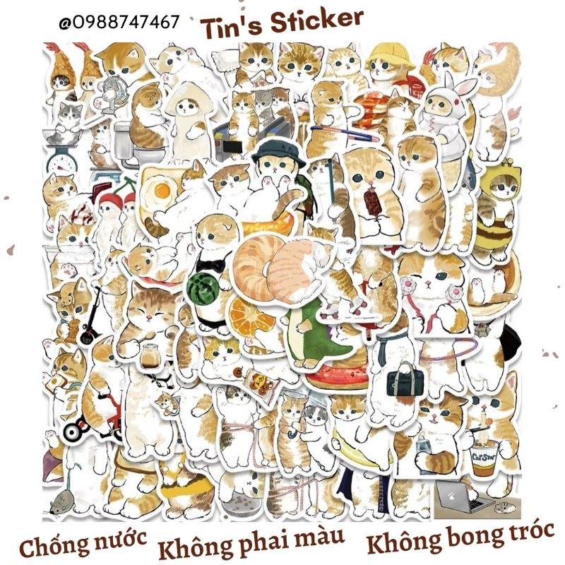 Set 10/30/50 miếng dán sticker mèo vàng dán nón mũ bảo hiểm laptop vali sổ tay đàn guitar điện thoại tủ lạnh xe máy