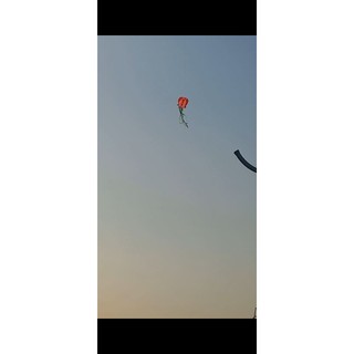Diều bạch tuộc khí động học