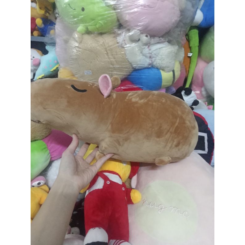 Gấu bông miniso size 40-55cm