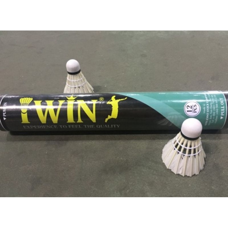 Cầu lông IWin