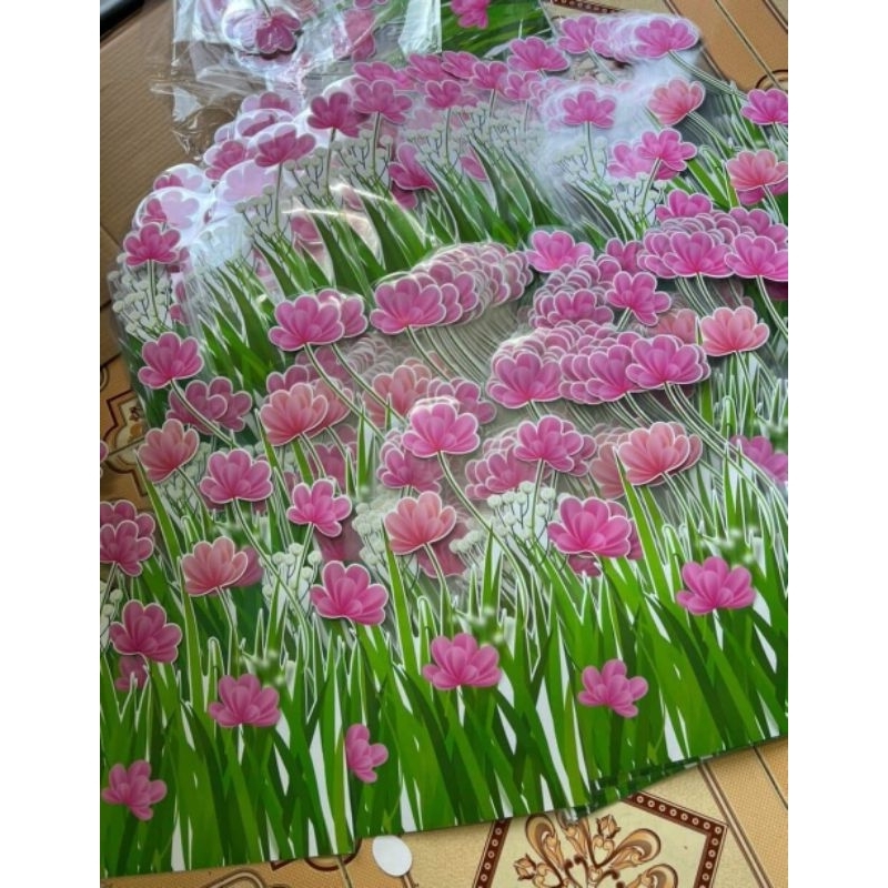 Hoa chân bảng hồng