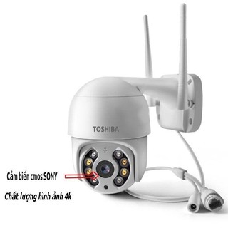 Toshiba ip  camera giám sát