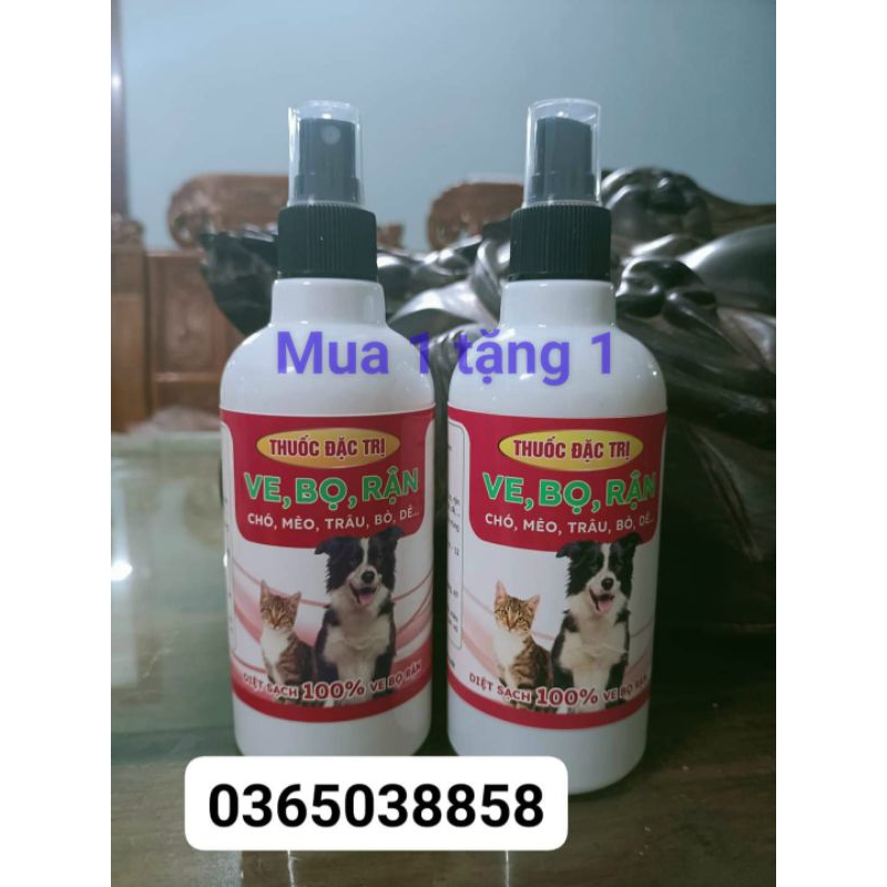diệt ve bọ rận