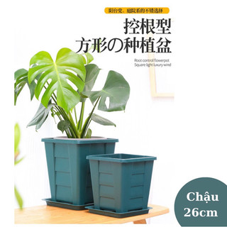 Chậu vuông cao cấp nhập khẩu size 26cm x 26cm