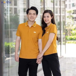Áo polo yody nam và nữ chất cotton mắt chim , co dãn 4 chiều , thấm hút mồ hôi