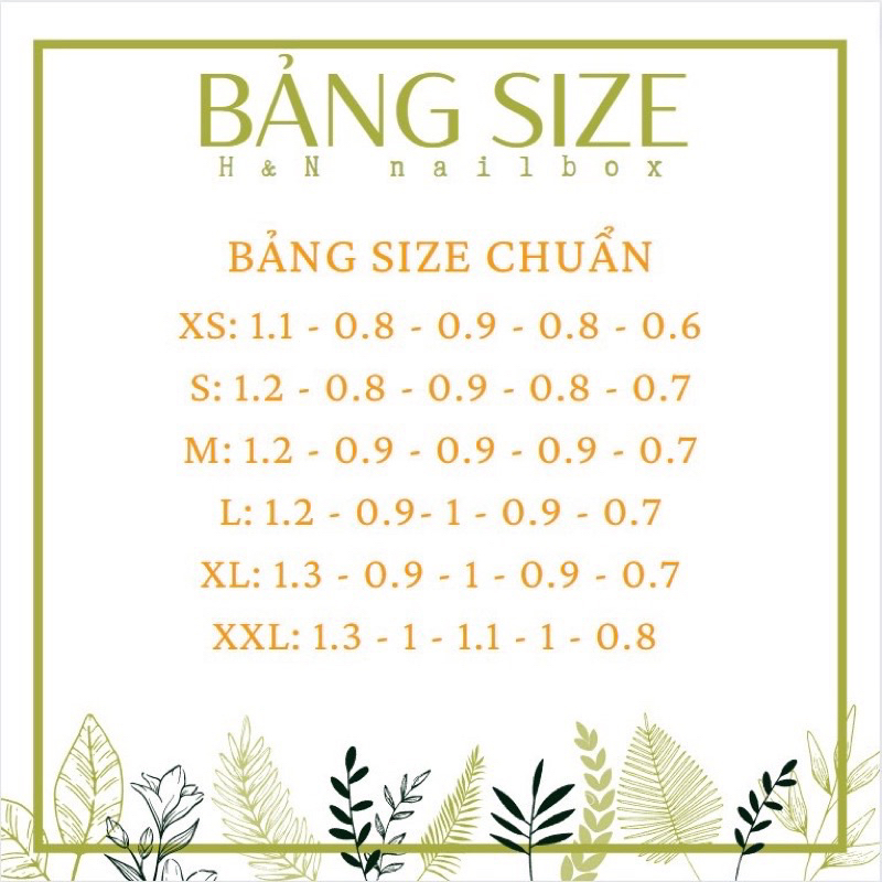 Naolbox Nail box Móng Úp Thiết Kế Hoạt Hình Dễ Thương