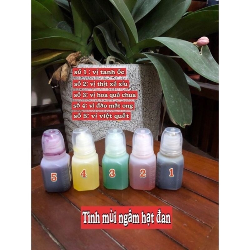 Hạt đan trắm đen + lọ tinh mùi