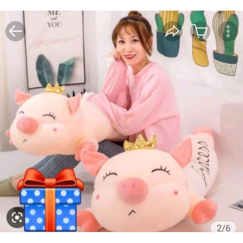 Gấu bông heo vương miên, heo nữ hoàng princes
