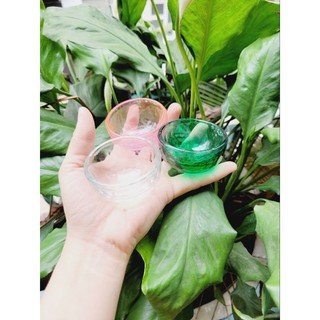 Chén Thủy Tinh Kiểu dáng Cao có miệng 6cm Cho Nấu ăn - Nhiều Màu