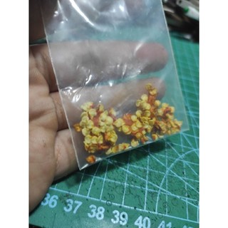 Hạt giống ớt Trung Đoàn siêu cay thơm