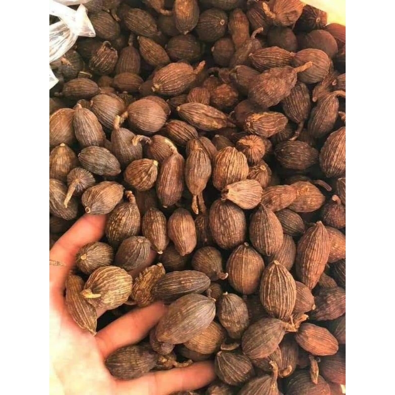 THẢO QUẢ KHÔ Loại 1 Quả To, Thơm mới Nhất 100gr, 50gr