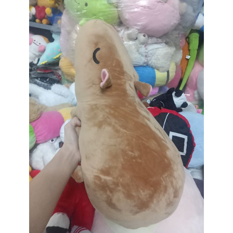 Gấu bông miniso size 40-55cm