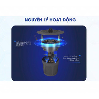Đèn bắt muỗi Rạng Đông