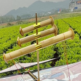 Sáo diều 3 quả