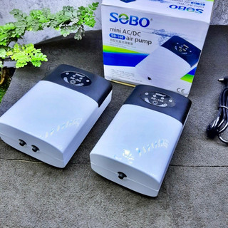 Máy sủi khí oxy tích điện SOBO dùng cho hồ cá. Siêu êm