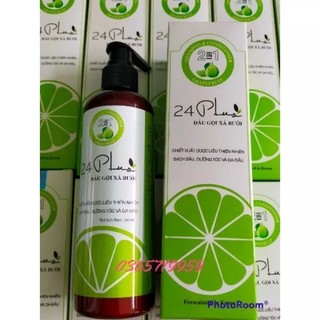 gội xã bưởi 24plus 2in1 250ml
