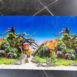 Tranh dán hồ cá cao 40cm