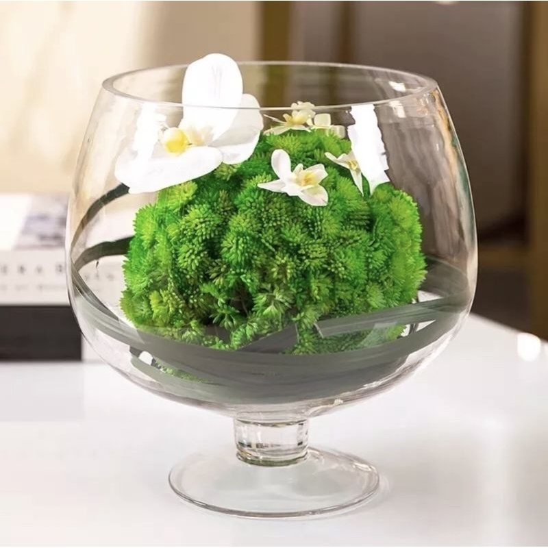 BÌNH THỦY TINH NUÔI CÁ ĐỂ BÀN,CHẬU CÁ THỦY TINH LY CHÂN TRUNG LC2 *H21xD20* Thể tích 2.5 lít,BÌNH THỦY TINH TRỒNG CÂY