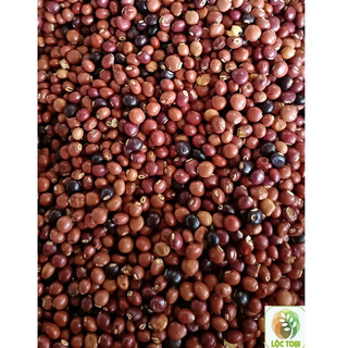 1kg Hạt đậu săng