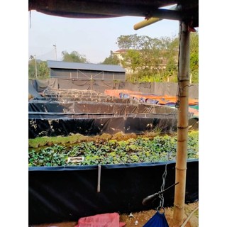 Bể bạt nuôi cá, ốc, ếch,lươn - HDPE 5dem