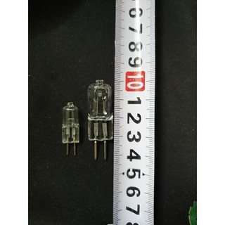 Bóng Halogen 12V - 20W( hoặc 35w_ 220v)