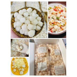 Còi sò điệp. túi 1kg