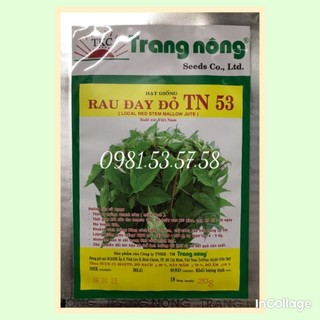Hạt giống rau đay xanh, đỏ Trang Nông dễ trồng gói 20 gram