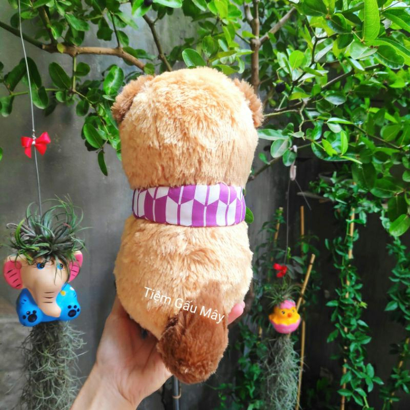 Chó bông amuse đeo khăn choàng lông xù mềm mịn đáng yêu