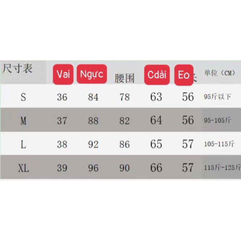 Áo blazer áo vest nữ quảng châu 2 lớp có đệm vai hàng cao cấp loại 1