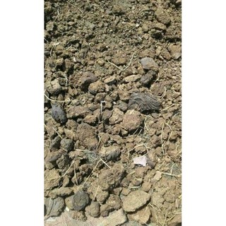 Phân bón cây 1kg/1 sản phẩm