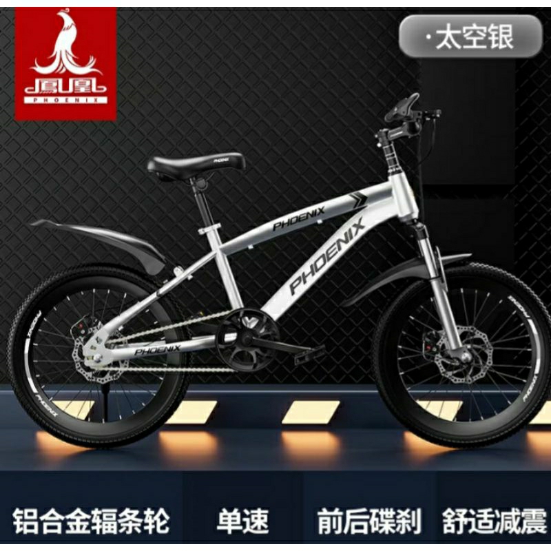 Xe đạp địa hình trẻ em xe đạp thể thao Phượng hoàng Phoenix xe đạp cho bé trai bé gái học sinh 5 7 10 15 tuổi