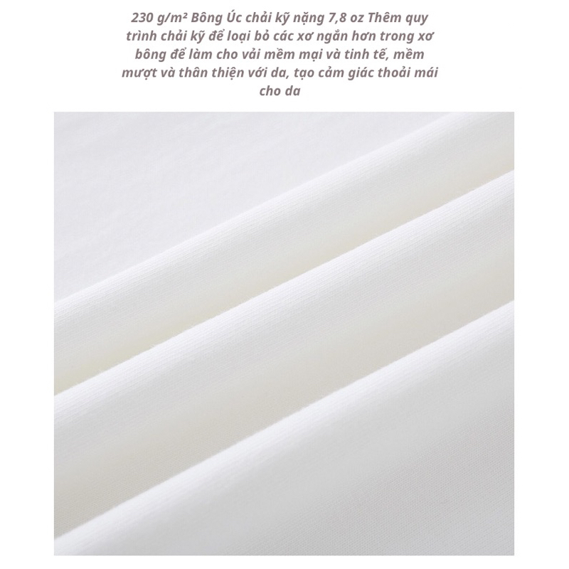 Áo Thun Basic 100% Cotton 230GSM co giản vải siêu đẹp