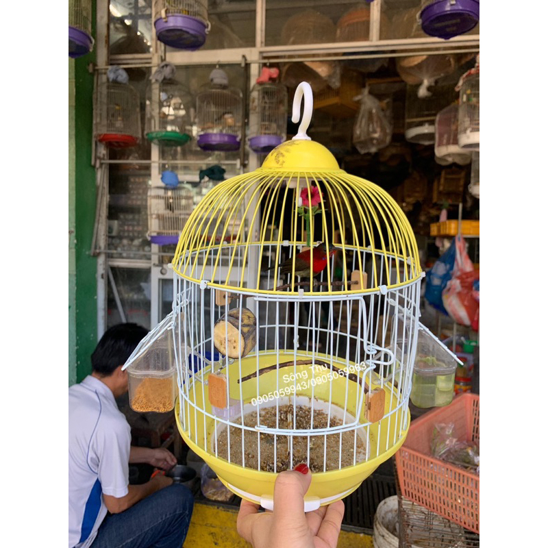 Lồng nuôi hút mật, khuyên