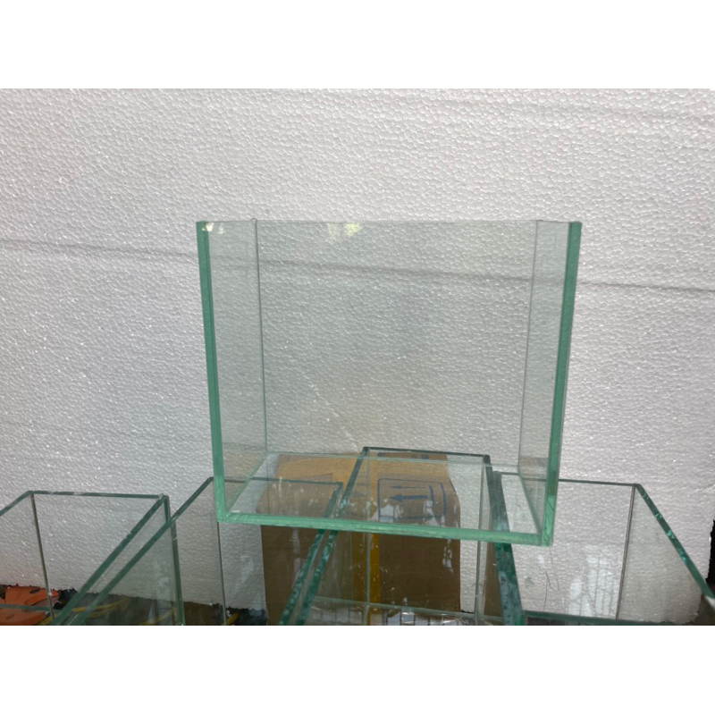 Bể cá mini cá beta cá chọi thuỷ sinh