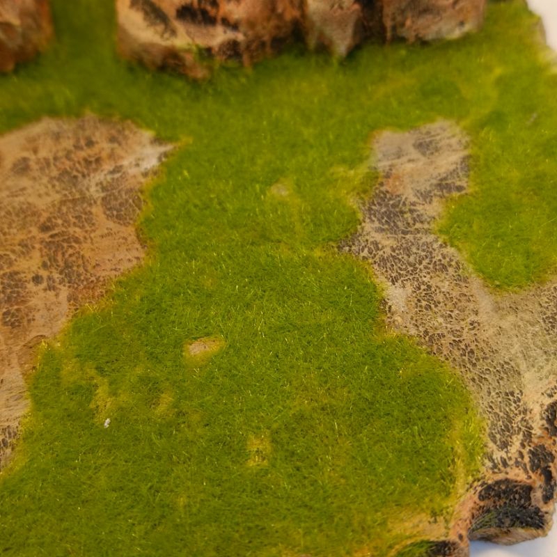 Mô hình Sa bàn trưng Pokemon , WCF One Piece , Dragon Ball,...