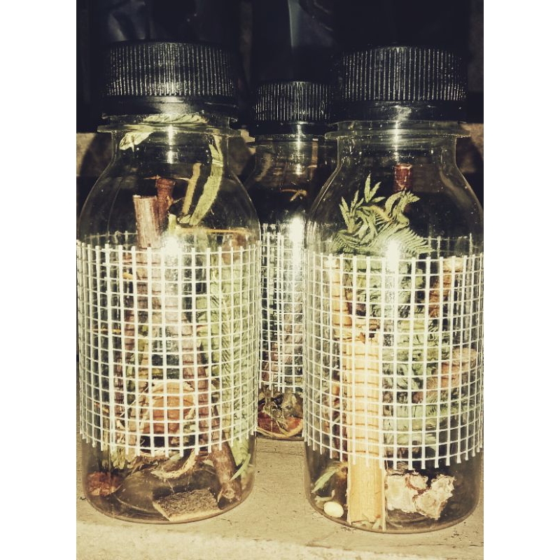 Chai 9 loại gai trừ tà, xả vận xui đại cát đại lộc/ thảo mộc xông nhà/ gai mây trừ tà/ cây dâu tằm trừ tà