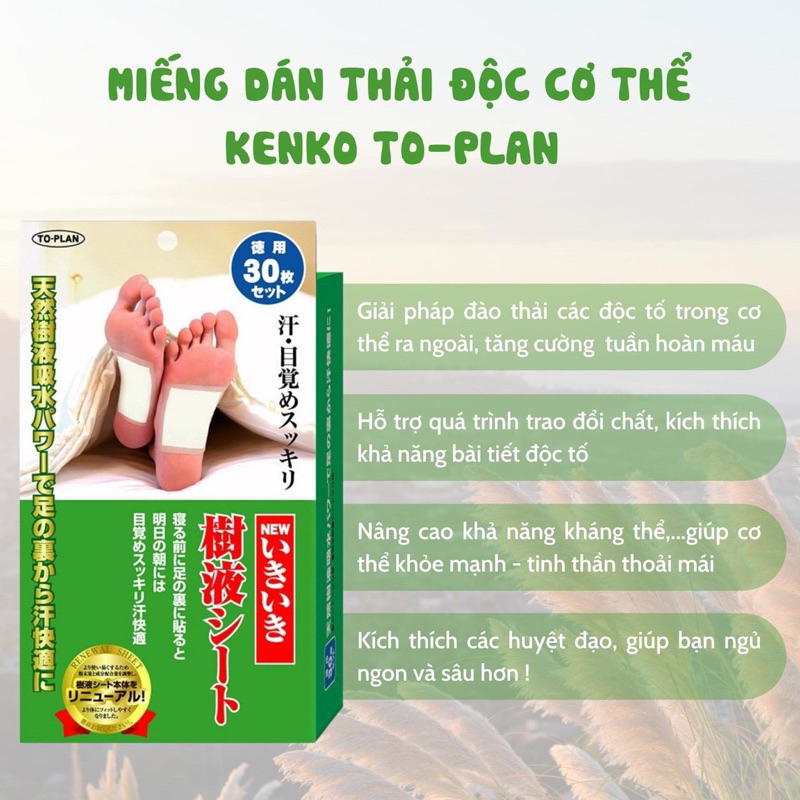Miếng Dán Thải Độc Chân KENKO 30 miếng Top Plan