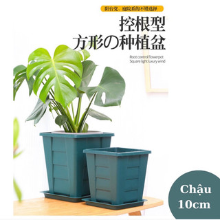 Chậu vuông cao cấp nhập khẩu size 10cm x 10cm